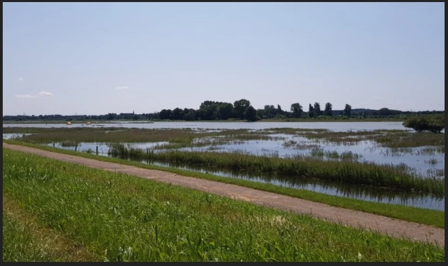 Knipsel vallei en veluwe